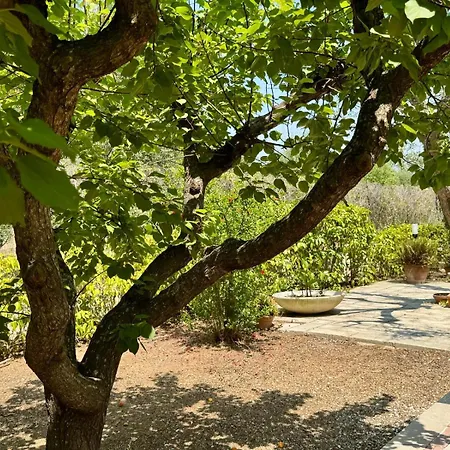 Casa de Férias Ciaky *