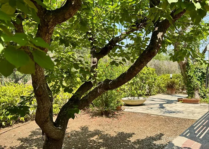 Holiday home Ciaky *